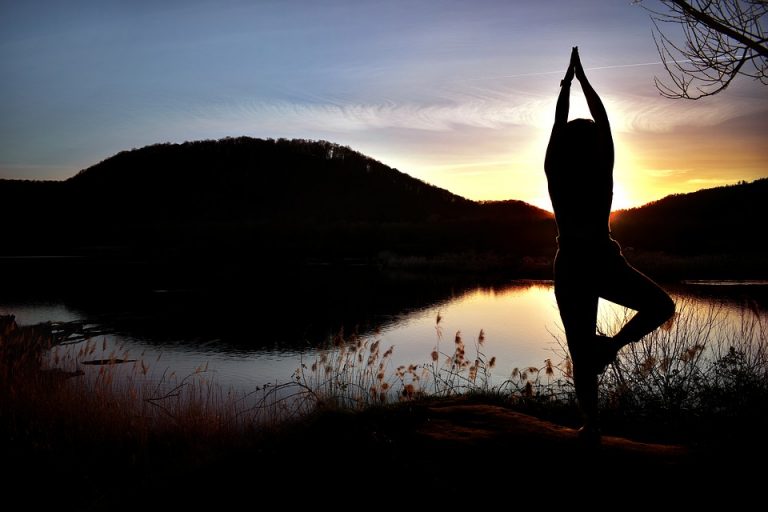 Yoga Baum für mehr Fitness & Gesundheit Sultan Yoga